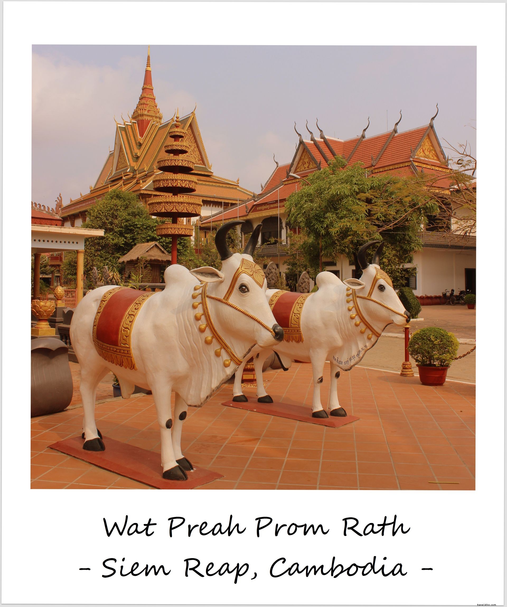 Polaroid of the Week: Unexpected Return to Cambodia s Timeless Charm