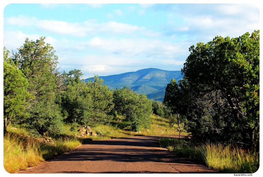 Discover Authentic Silver City and Ancient Gila Cliff Dwellings in New Mexico