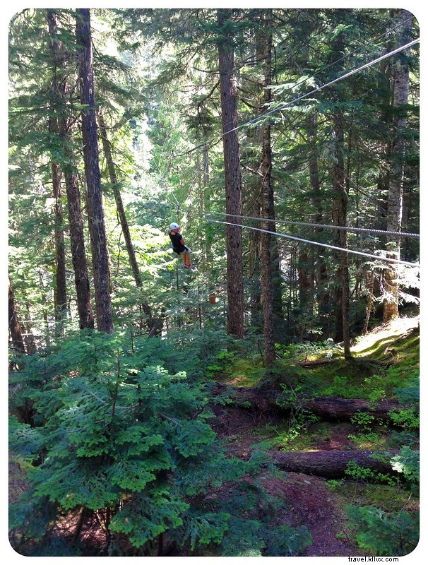 Conquering My Fear of Heights: A Thrilling Zip-Line Adventure in Whistler, Canada