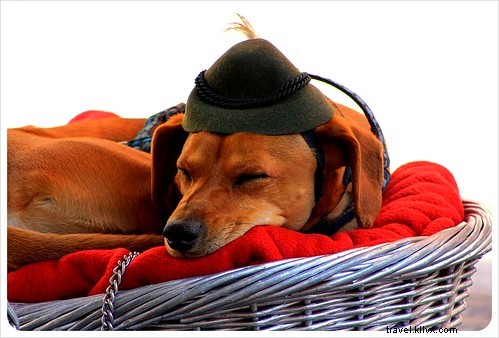 Discover Picturesque Innsbruck, Austria: Alpine Beauty, History, and Year-Round Adventures