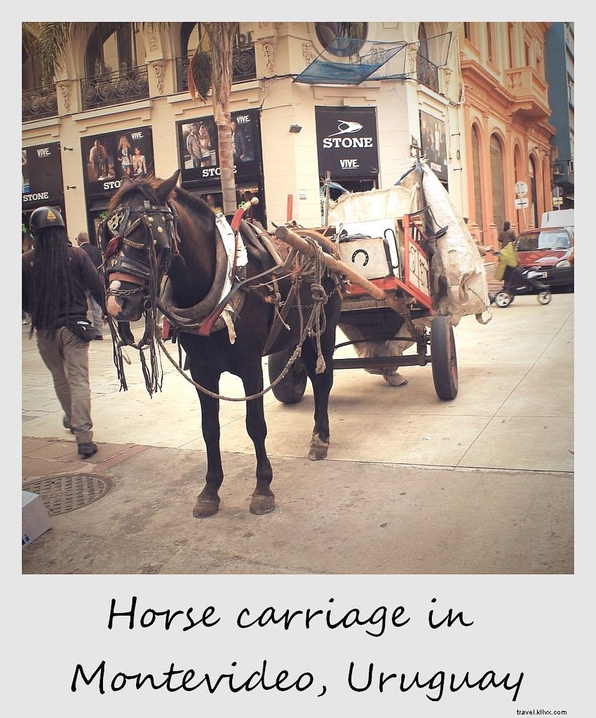 Polaroid of the Week: The Surprising Charm of Montevideo, Uruguay