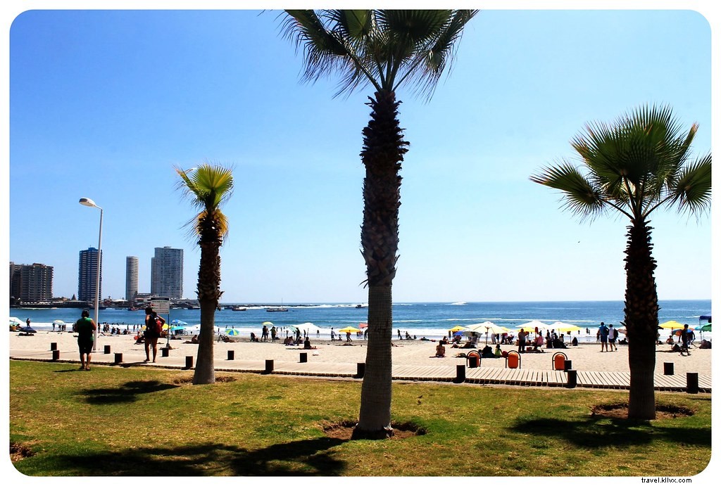 Discovering Iquique: A Traveler s Guide to Northern Chile s Coastal Charm