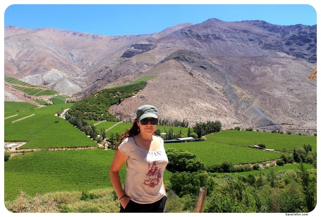 La Serena and Elqui Valley: Chile s Beaches, Pisco, Papaya Farms, and Stargazing Paradise