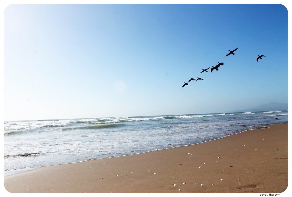 La Serena and Elqui Valley: Chile s Beaches, Pisco, Papaya Farms, and Stargazing Paradise