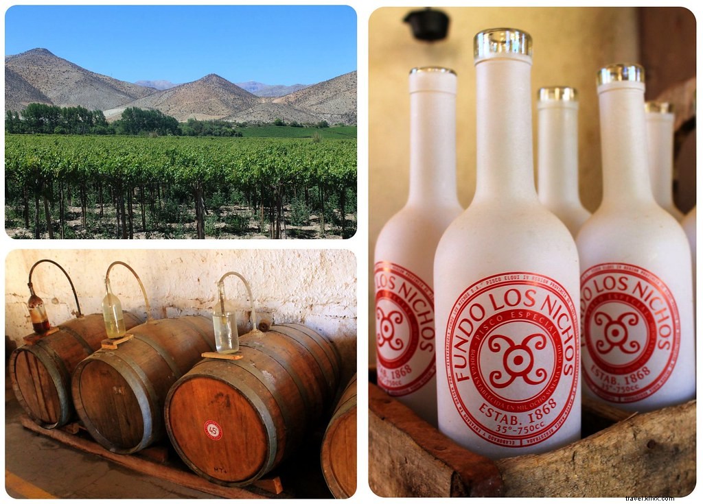 La Serena and Elqui Valley: Chile s Beaches, Pisco, Papaya Farms, and Stargazing Paradise