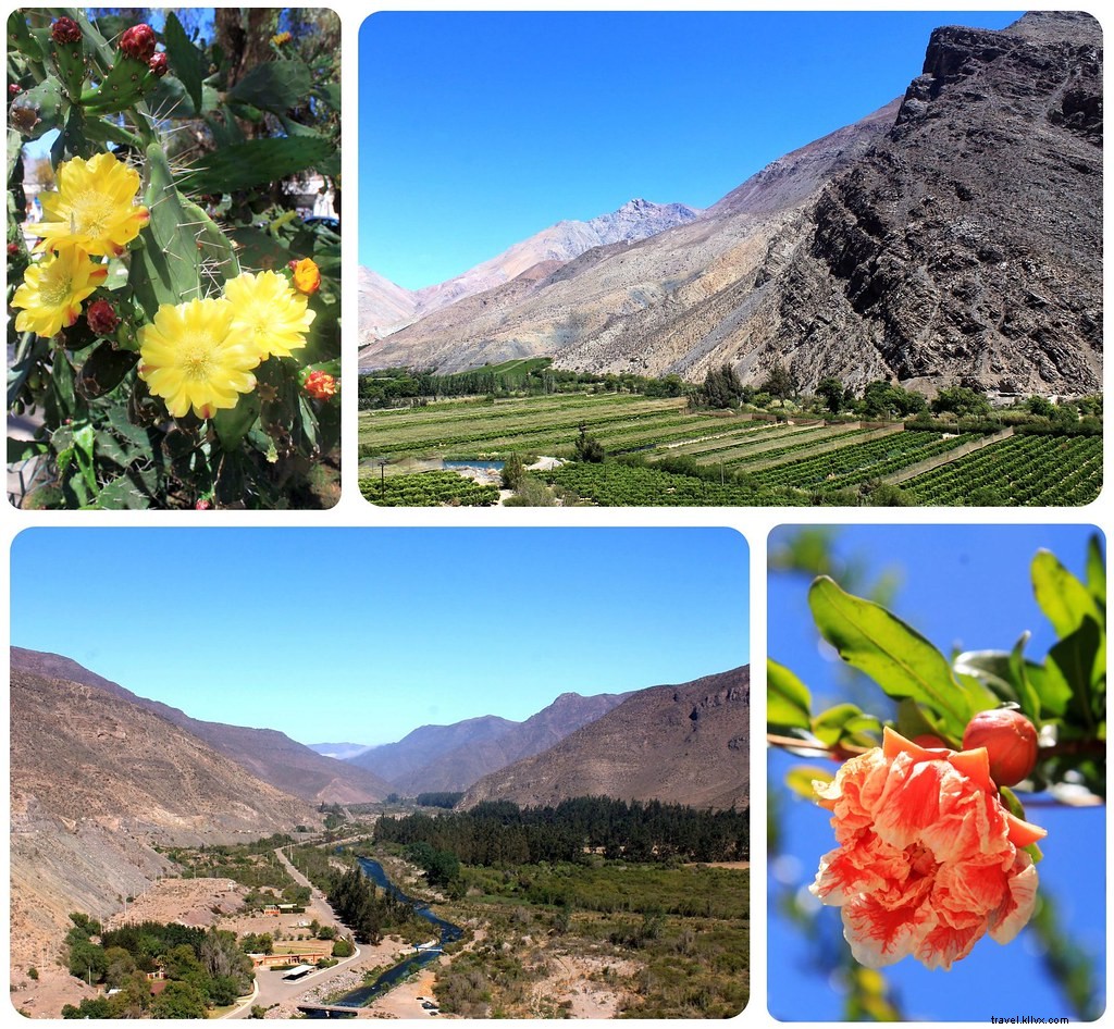 La Serena and Elqui Valley: Chile s Beaches, Pisco, Papaya Farms, and Stargazing Paradise