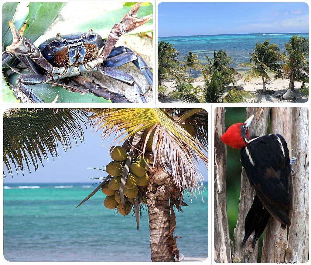 The  Where the Other Shoe Drops  Project: Transforming Mexico s Beach Trash into Art