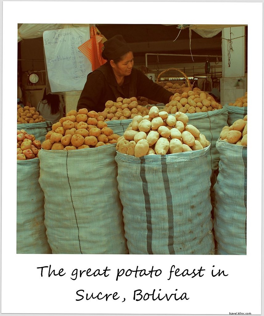 Polaroid of the Week: Bolivia s Stunning Potato Diversity in Sucre s Markets