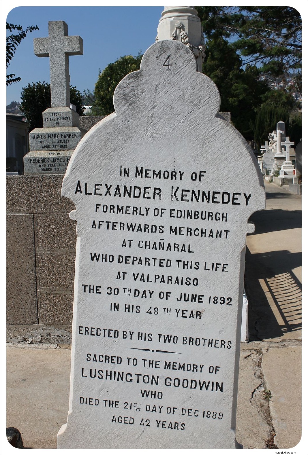 Discover Valparaíso s Soul: Tales from the Cementerio de Disidentes