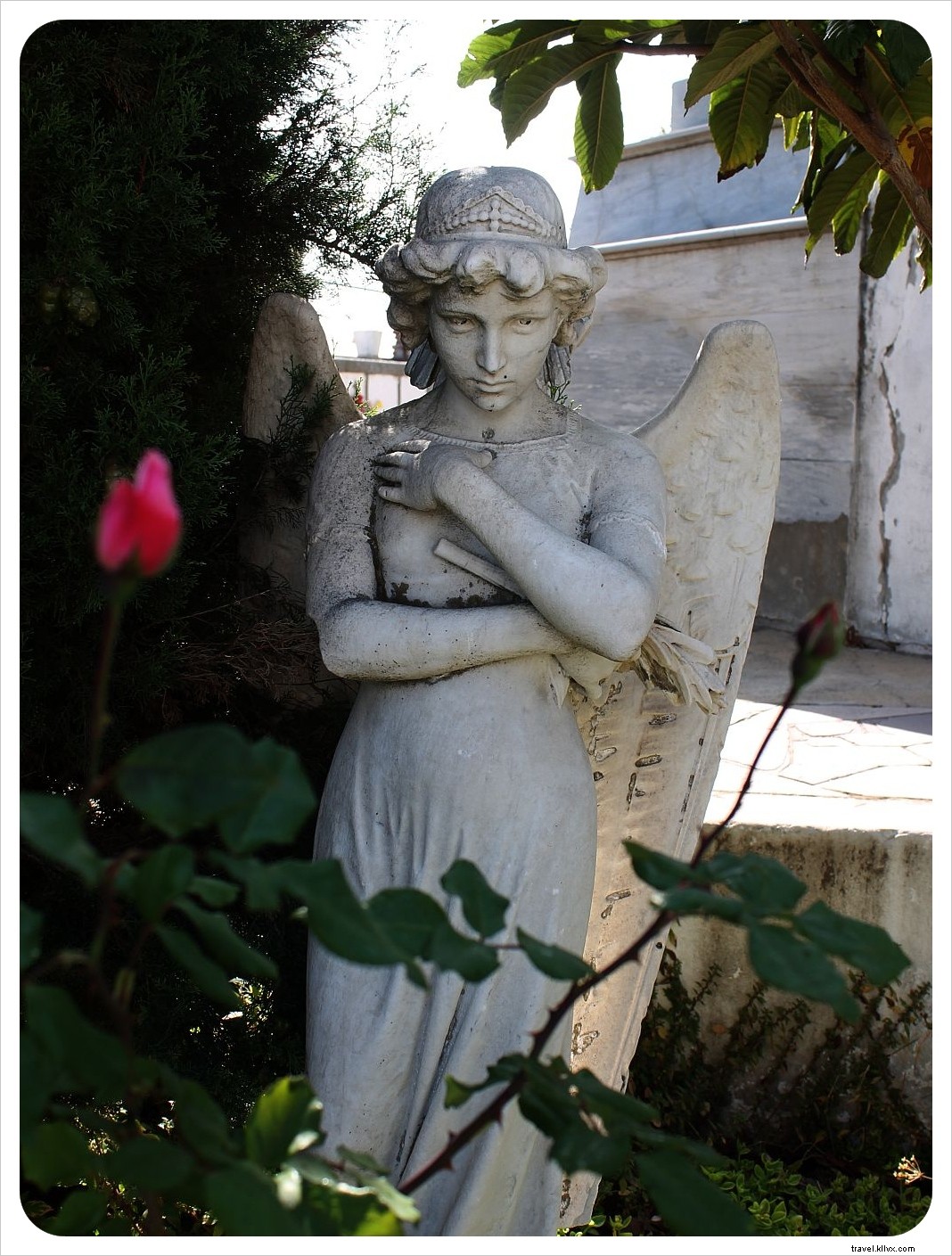 Discover Valparaíso s Soul: Tales from the Cementerio de Disidentes