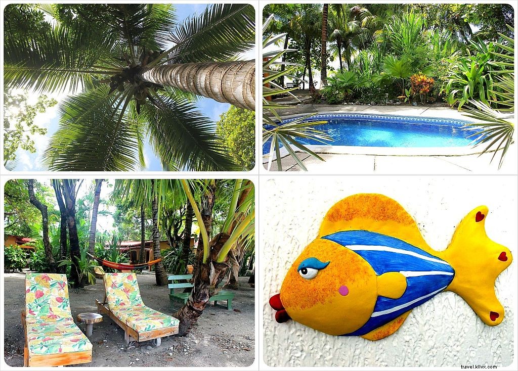 Fenix Hotel Review: Beachfront Paradise in Playa Samara, Costa Rica