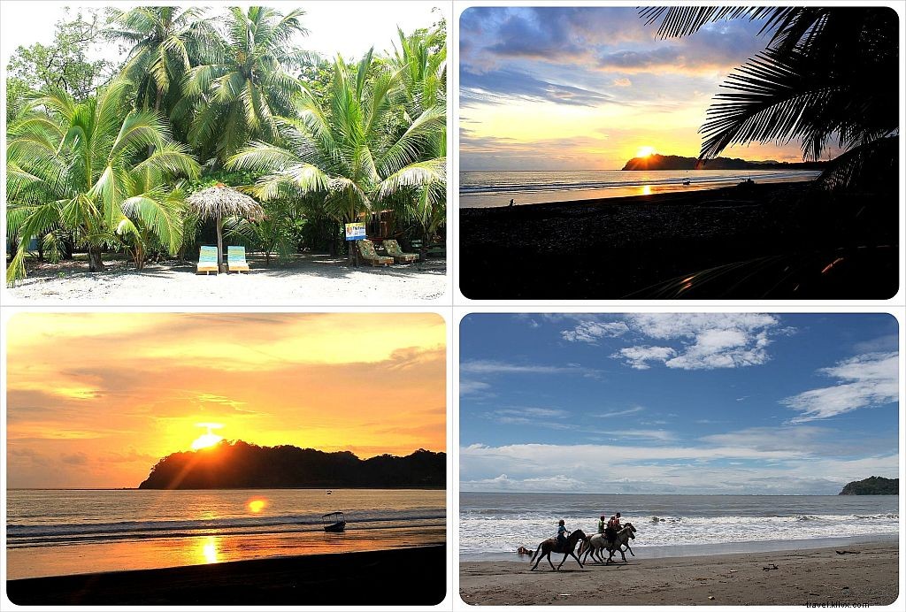 Fenix Hotel Review: Beachfront Paradise in Playa Samara, Costa Rica