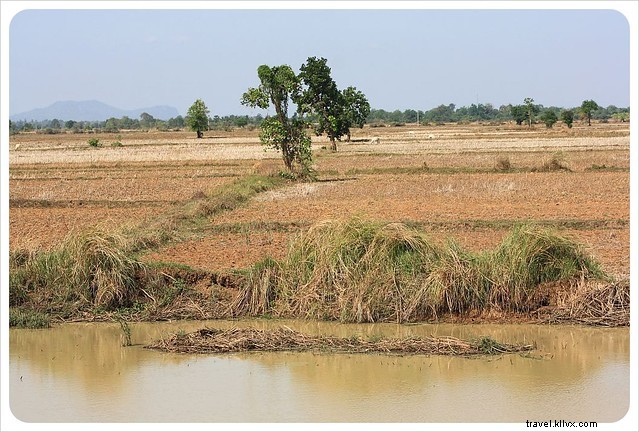 Riding Battambang s Bamboo Train: A Thrilling Yet Eye-Opening Adventure in Cambodia