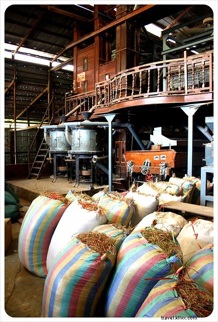 Riding Battambang s Bamboo Train: A Thrilling Yet Eye-Opening Adventure in Cambodia