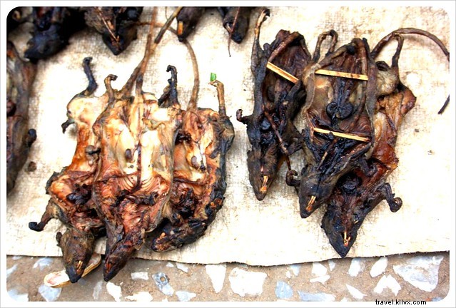 Vibrant Markets of Laos: A Photo Essay on Luang Prabang s Culinary Wonders