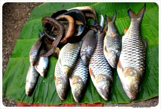 Vibrant Markets of Laos: A Photo Essay on Luang Prabang s Culinary Wonders