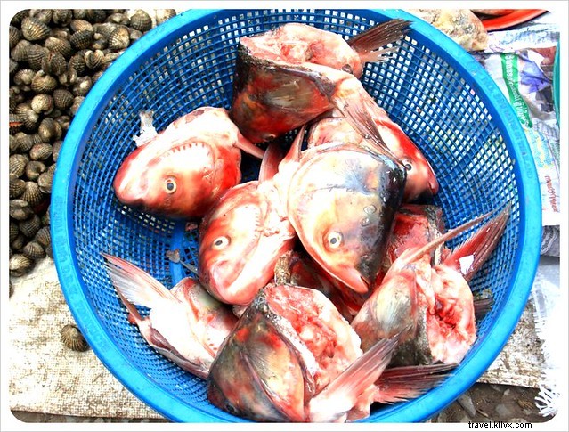 Vibrant Markets of Laos: A Photo Essay on Luang Prabang s Culinary Wonders