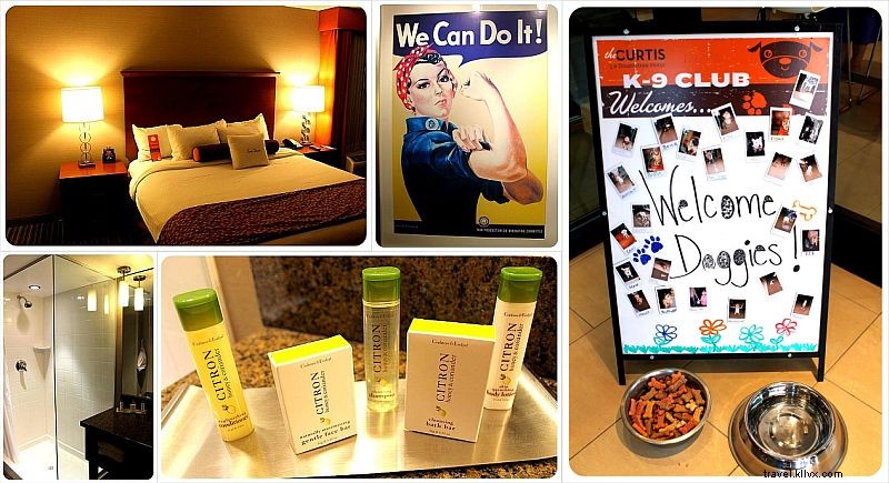 The Curtis Hotel Denver: A Pop Culture Gem in the Heart of the City