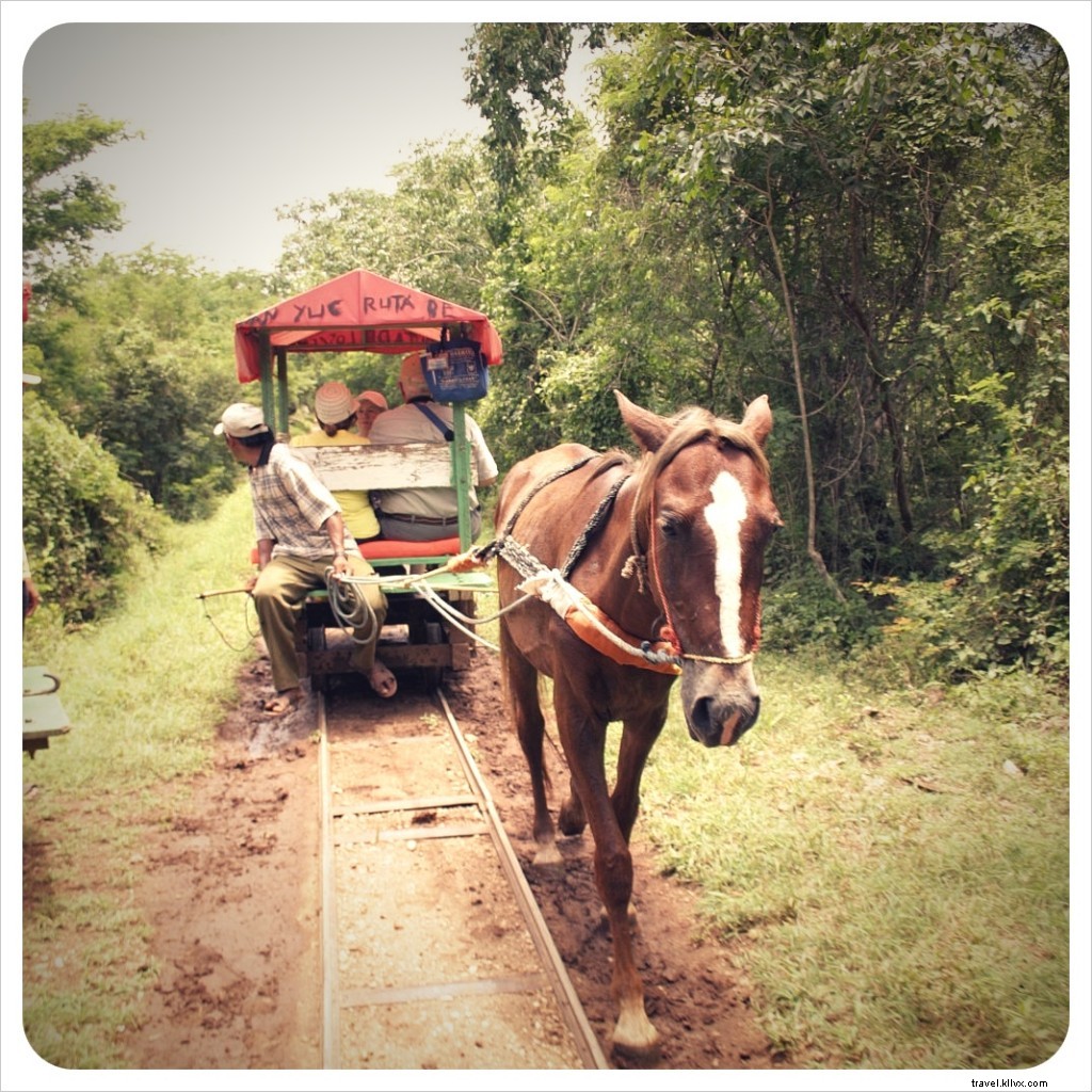 Exploring Cuzamá Cenotes: Authentic Horse-Drawn Adventure Near Mérida, Yucatán