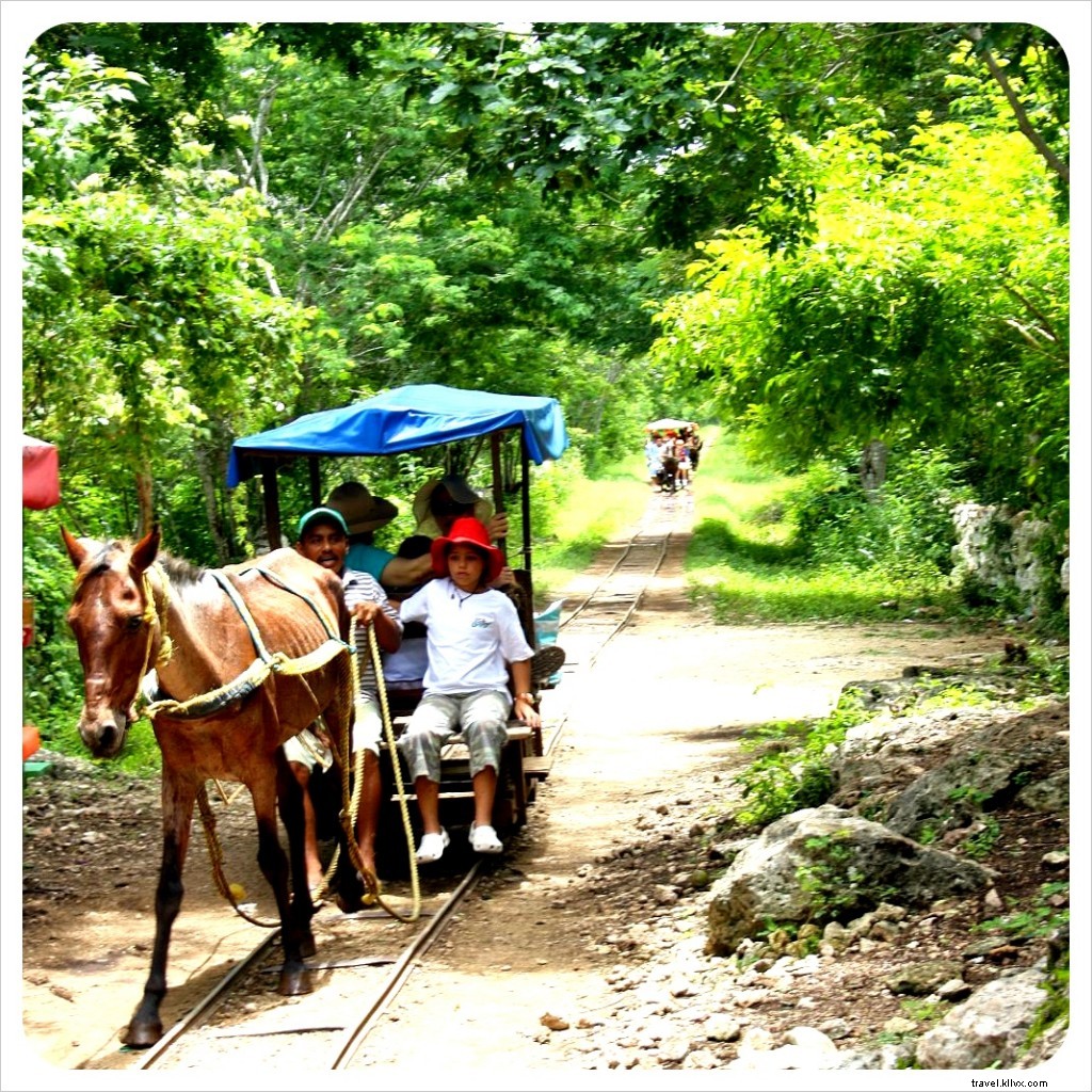 Exploring Cuzamá Cenotes: Authentic Horse-Drawn Adventure Near Mérida, Yucatán