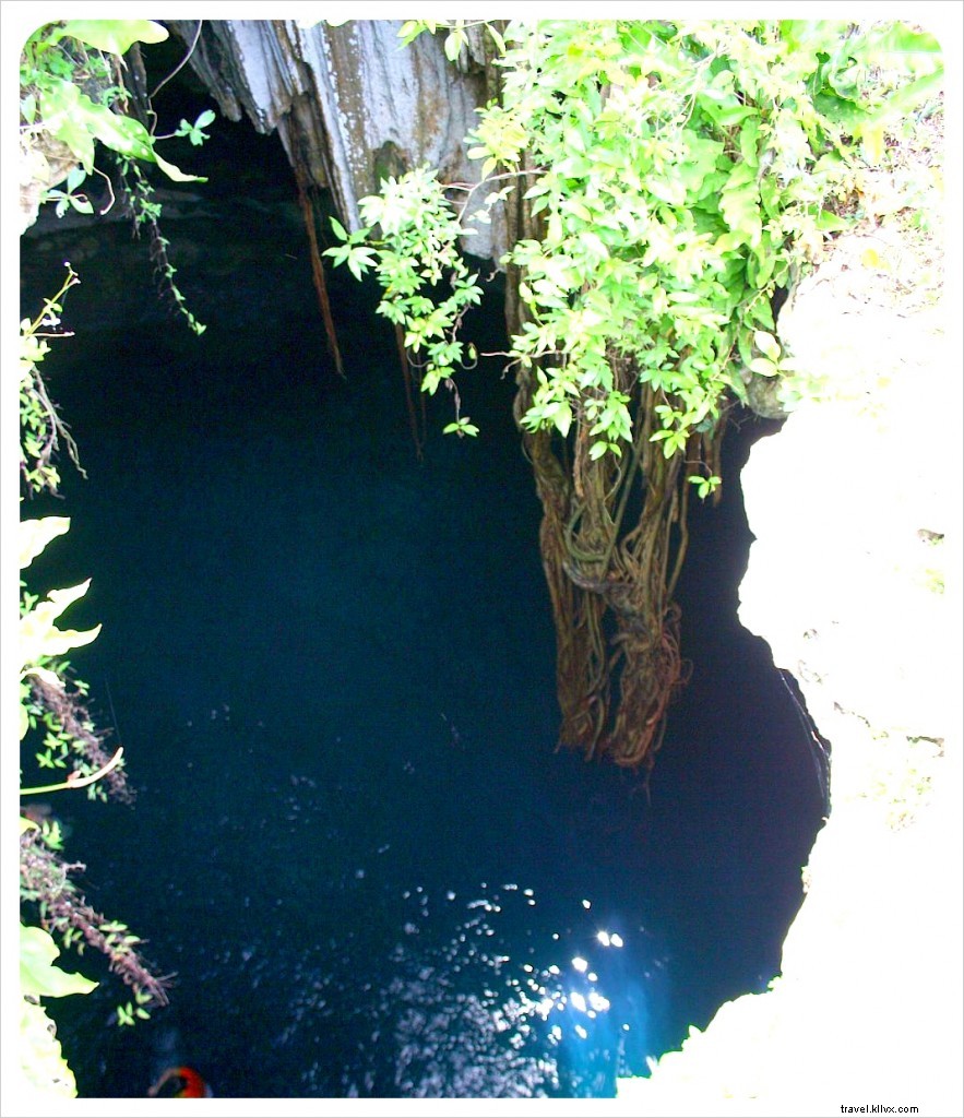 Exploring Cuzamá Cenotes: Authentic Horse-Drawn Adventure Near Mérida, Yucatán