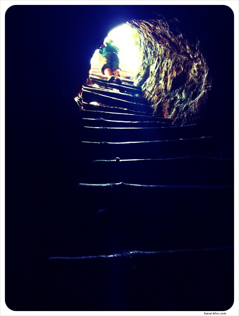 Exploring Cuzamá Cenotes: Authentic Horse-Drawn Adventure Near Mérida, Yucatán