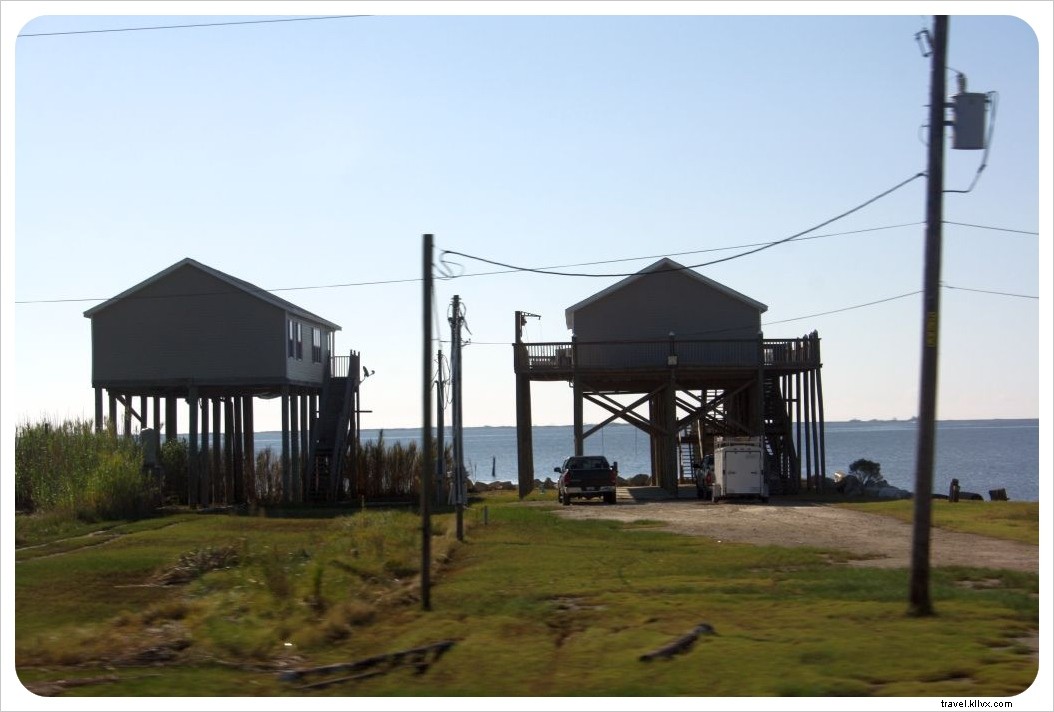 Discover New Orleans: Alligator Swamp Tours, French Market Bites, and Legendary Jazz on Frenchman Street