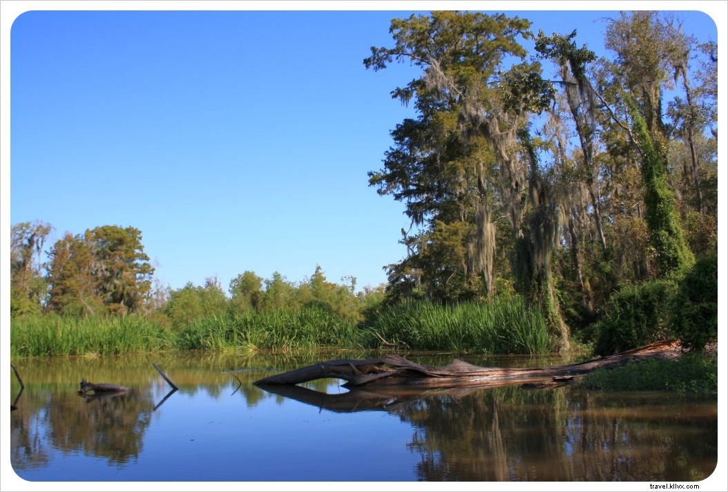 Discover New Orleans: Alligator Swamp Tours, French Market Bites, and Legendary Jazz on Frenchman Street