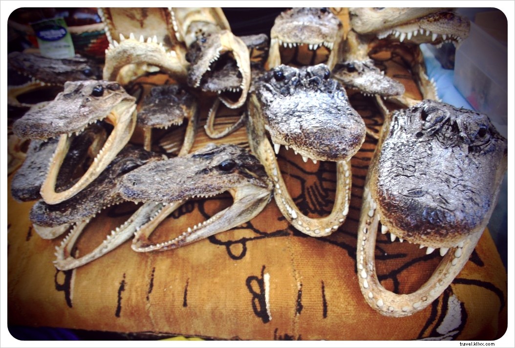 Discover New Orleans: Alligator Swamp Tours, French Market Bites, and Legendary Jazz on Frenchman Street