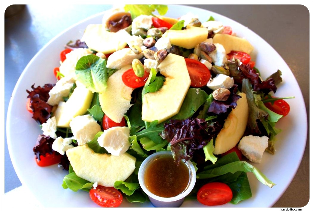 Discover New Orleans: Alligator Swamp Tours, French Market Bites, and Legendary Jazz on Frenchman Street