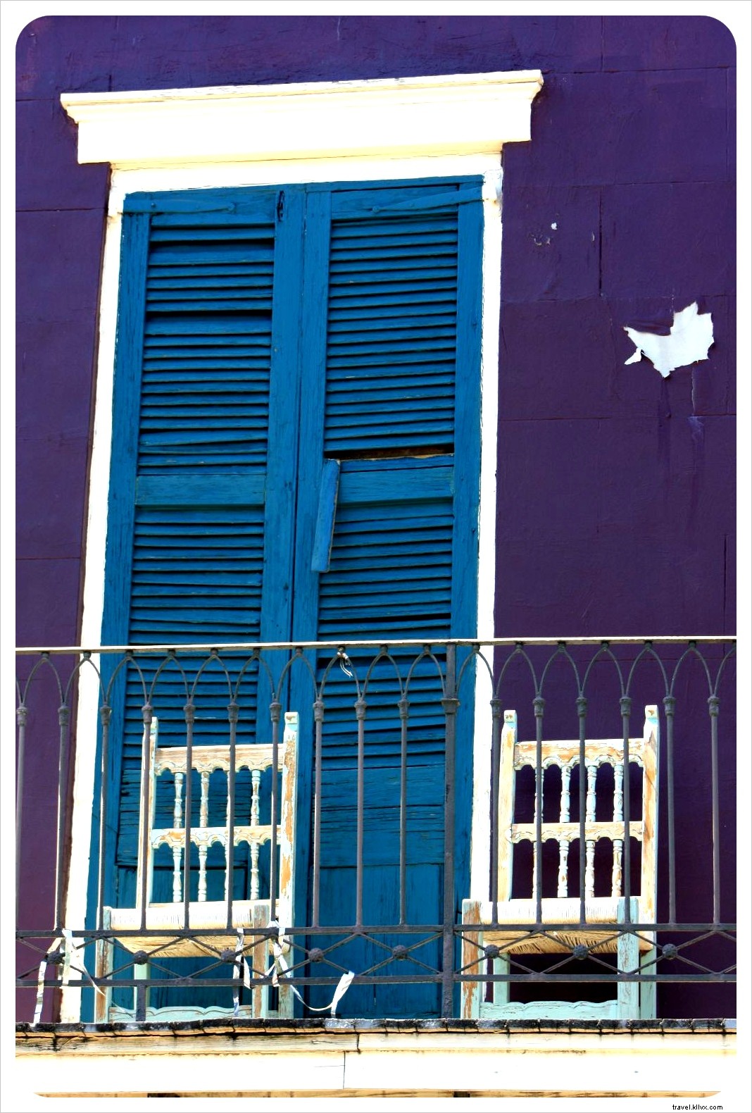 Discover New Orleans: Alligator Swamp Tours, French Market Bites, and Legendary Jazz on Frenchman Street