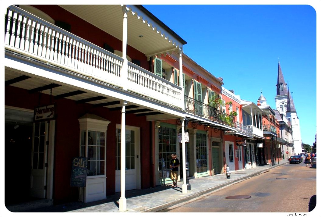 Discover New Orleans: Alligator Swamp Tours, French Market Bites, and Legendary Jazz on Frenchman Street