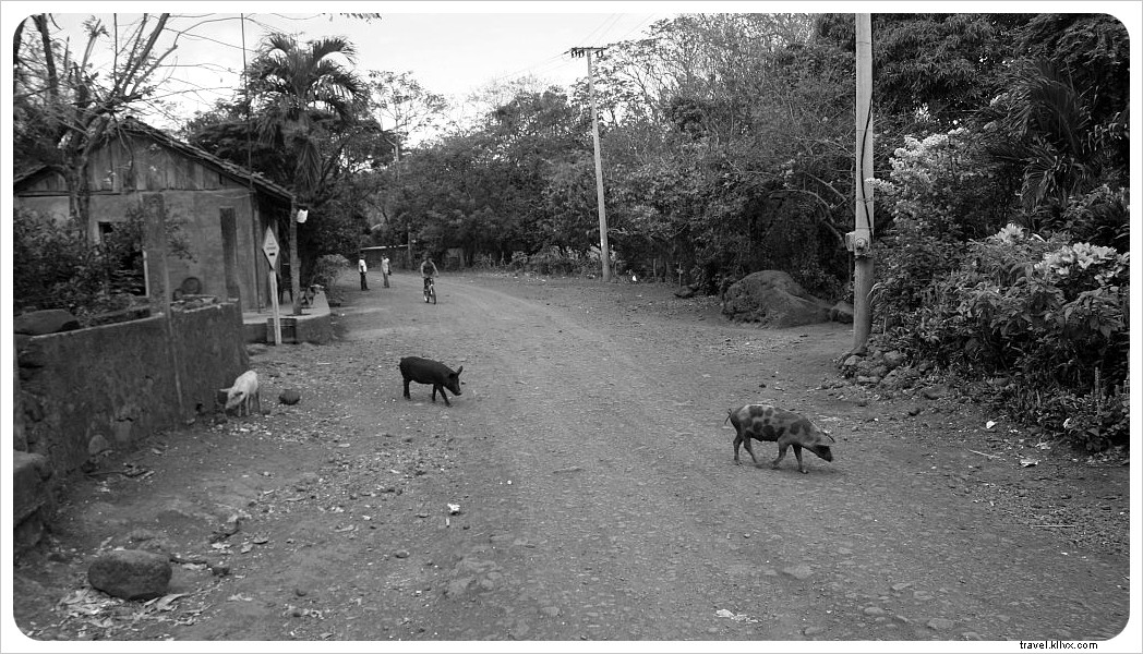 Exploring Ometepe Island: Village Life in Nicaragua Through Stunning Photography