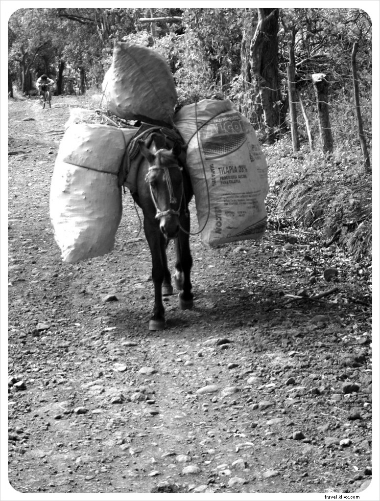 Exploring Ometepe Island: Village Life in Nicaragua Through Stunning Photography