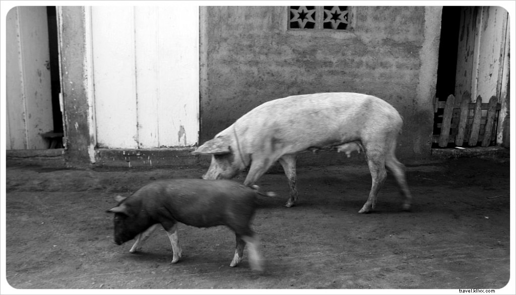 Exploring Ometepe Island: Village Life in Nicaragua Through Stunning Photography
