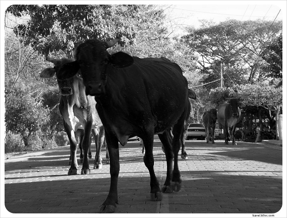 Exploring Ometepe Island: Village Life in Nicaragua Through Stunning Photography