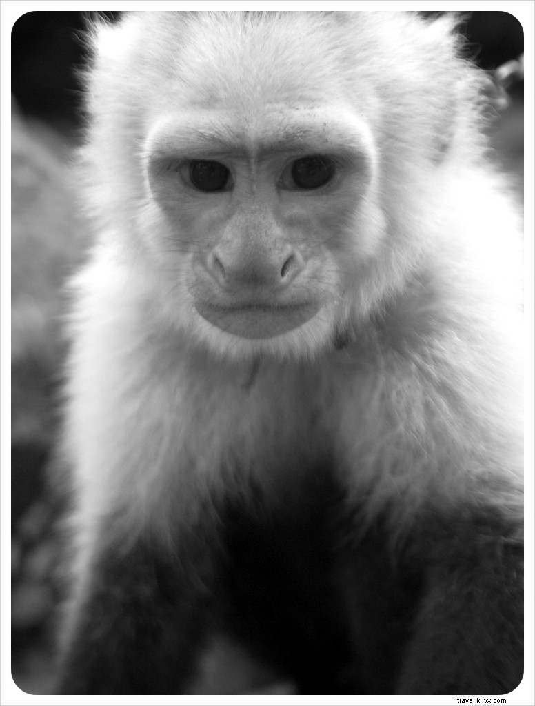 Exploring Ometepe Island: Village Life in Nicaragua Through Stunning Photography