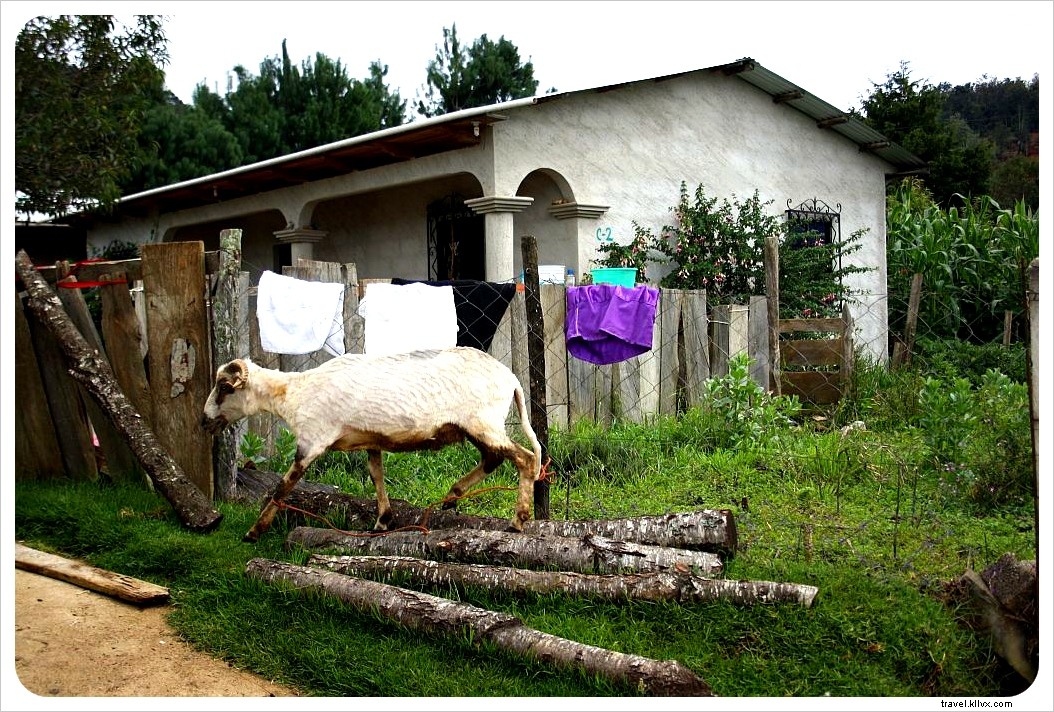 Mayan Village Tours: Navigating Tourism, Respect, and Authenticity in Chiapas and Guatemala