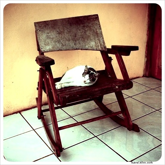Nicaragua Rocks: Discovering the Iconic Rocking Chair Tradition