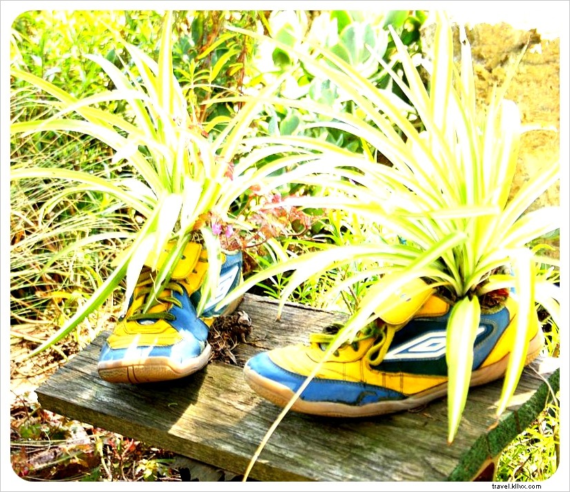 San Francisco s Iconic Painted Ladies at Alamo Square and the Whimsical Shoe Garden