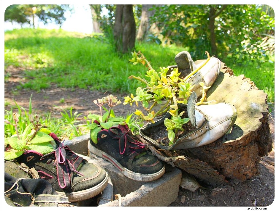 San Francisco s Iconic Painted Ladies at Alamo Square and the Whimsical Shoe Garden