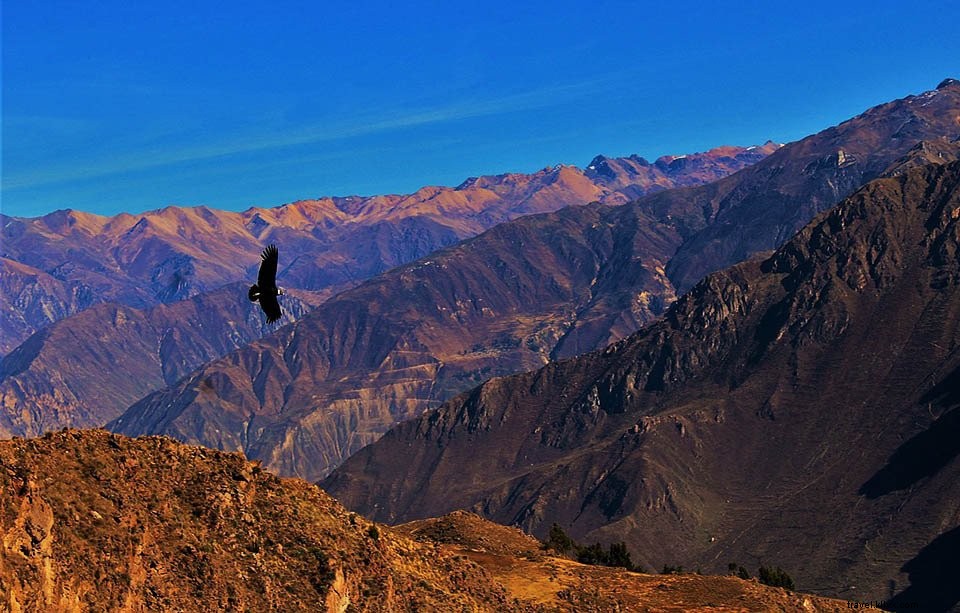 Colca Canyon, Peru: Ultimate Trekking Guide, History, Tips & Myths