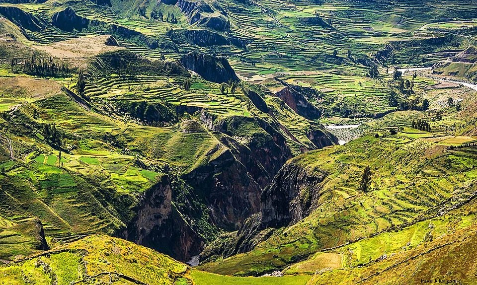 Colca Canyon, Peru: Ultimate Trekking Guide, History, Tips & Myths