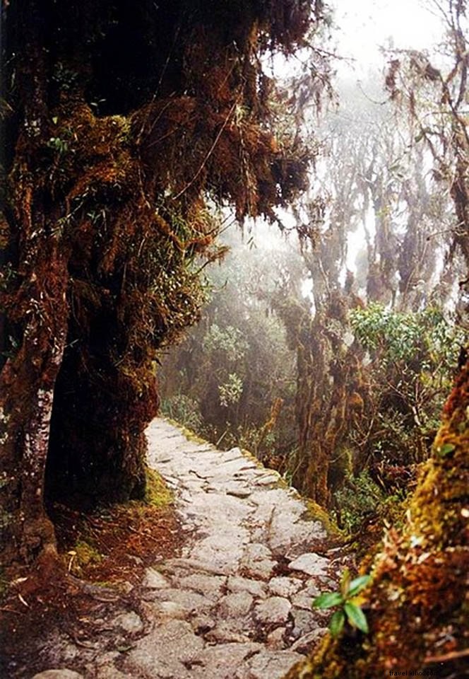 Ultimate Guide to Visiting Machu Picchu: Budget Travel Tips, Inca Trail Trekking & Peru Adventures