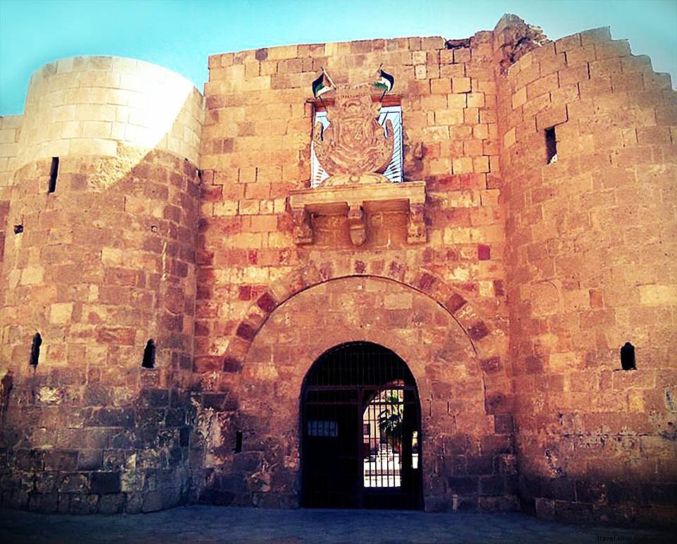 Jordan Guide #5: Aqaba – Red Sea Beaches, Diving Hotspots, and Ancient History