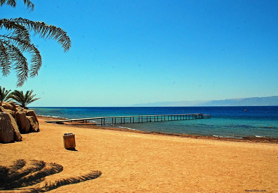 Jordan Guide #5: Aqaba – Red Sea Beaches, Diving Hotspots, and Ancient History