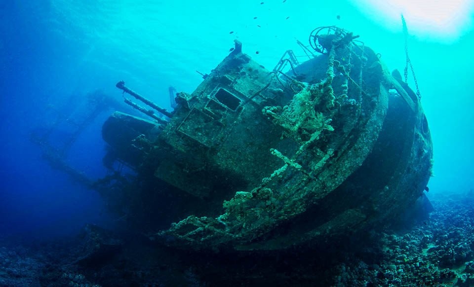 Jordan Guide #5: Aqaba – Red Sea Beaches, Diving Hotspots, and Ancient History