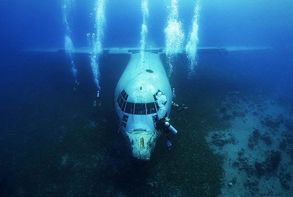 Jordan Guide #5: Aqaba – Red Sea Beaches, Diving Hotspots, and Ancient History