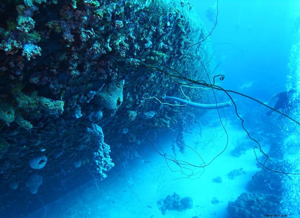 Jordan Guide #5: Aqaba – Red Sea Beaches, Diving Hotspots, and Ancient History