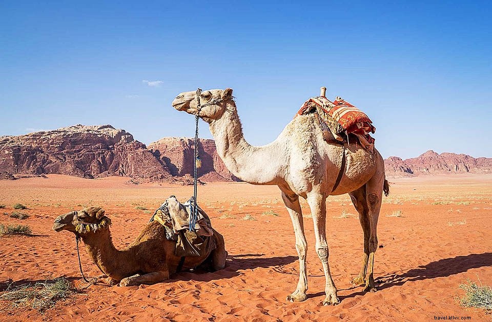 Discover Wadi Rum: Jordan s UNESCO World Heritage Desert & Hollywood Icon
